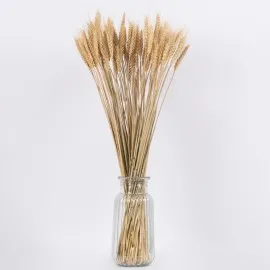 GloboStar® BARLEY 36551 Αποξηραμένο Φυτό Κριθάρι - Μπουκέτο Διακοσμητικών Κλαδιών Μπεζ Υ60cm